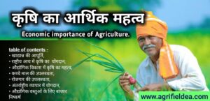Economic importance of Agriculture in India