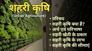 Urban farming in hindi