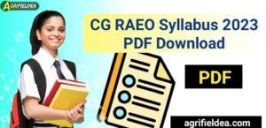 CG Vyapam छत्तीसगढ़ ग्रामीण कृषि विस्तार अधिकारी सिलेबस डाउनलोड करें | RAEO Syllabus 2023 PDF Download