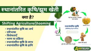 Shifting Agriculture in Hindi