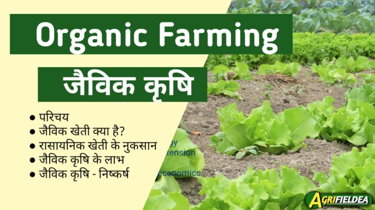 Organic farming