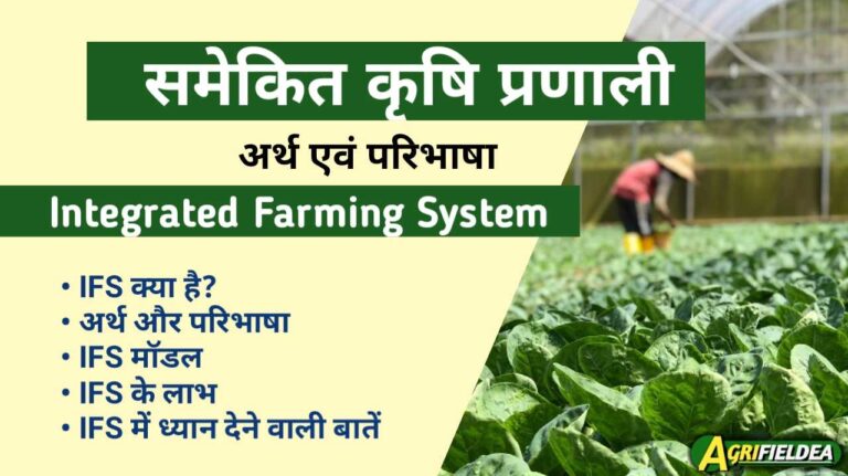 Integrated Farming System