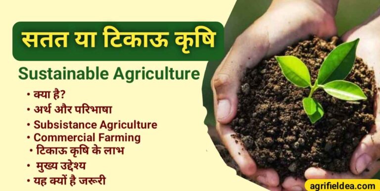 Sustainable agriculture in hindi, Sustainable Agriculture, benefits of sustainable agriculture