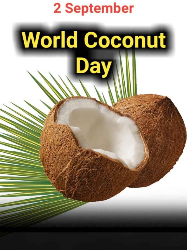 World Coconut Day: 15 Mind-Blowing Facts You Never Knew