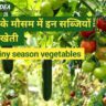 बरसात के मौसम में लगने वाली 8 सब्जियां | Best Rainy season vegetables in hindi