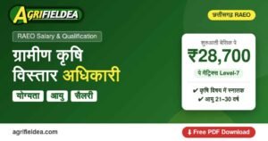 RAEO salary And Qualification PDF