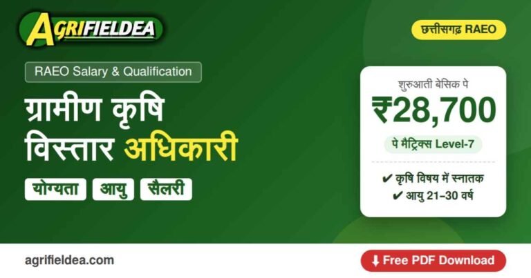 RAEO salary And Qualification PDF